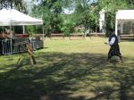 IMG_2526.JPG
