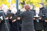 IMG_9870.JPG