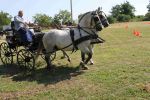 IMG_1601.JPG