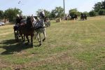 IMG_1610.JPG