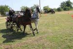 IMG_1611.JPG