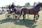 IMG_1613.JPG