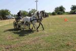 IMG_1615.JPG