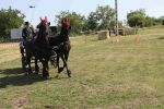 IMG_1625.JPG