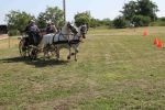 IMG_1632.JPG