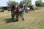 IMG_1647.JPG