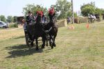 IMG_1667.JPG