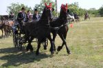 IMG_1668.JPG