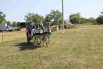 IMG_1677.JPG