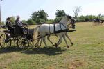 IMG_1680.JPG