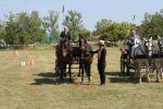 IMG_1702.JPG
