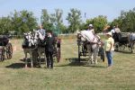 IMG_1704.JPG
