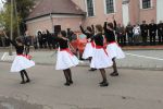 IMG_2381.JPG