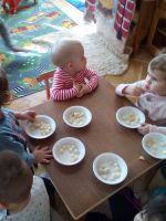 IMG_20180411_101006.jpg