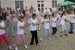 IMG_4827.JPG