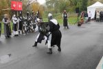 IMG_8522.JPG