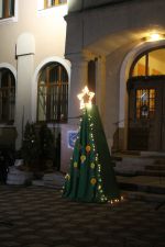 IMG_4939.JPG